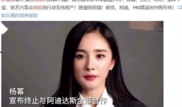 新疆明星爆料新闻报道视频