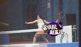 娱乐爆料纯音乐叫什么,纯音乐背后的神秘名称