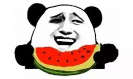 吃瓜小熊小影娱乐,揭秘娱乐圈幕后故事