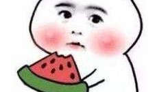 真诚吃瓜知乎小说免费阅读,揭秘知乎小说界的免费阅读盛宴