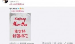 新疆明星爆料新闻报道视频