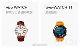 vivo手表最新爆料,颠覆传统，智能生活新篇章