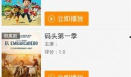 西港狠人爆料视频播放网站,视频网站背后的惊人真相