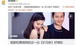 圈里娱乐爆料,圈里娱乐最新爆料大起底