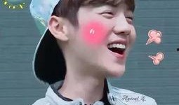 王鹤棣搞笑爆料视频下载,笑料连连，揭秘娱乐圈幕后趣事