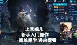 浪仙王者爆料视频,揭秘游戏幕后精彩瞬间