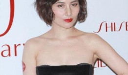 甄妮爆料何超琼视频在线观看,独家揭秘豪门背后的惊人真相