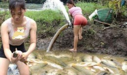 女子爆料放鱼的视频农村,揭秘乡村生态和谐之美