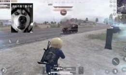 和平精英爆料火车视频大全,独家爆料视频大盘点