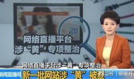 今天东莞新闻爆料事件视频,视频揭露惊人真相