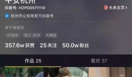 中原抖音爆料事件视频完整版,揭秘完整版视频背后的真相与争议