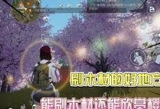 黎明觉醒野玫瑰爆料视频,野玫瑰爆料视频揭秘游戏内幕