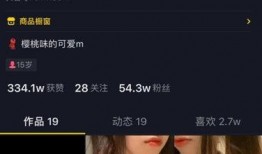 中原抖音爆料事件视频完整版,揭秘完整版视频背后的真相与争议