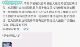娱乐吃瓜直男完整版,直男视角下的“吃瓜”全纪录