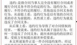 丹东饭店爆料案件始末视频,真相大白，疑云散去