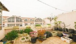 和平花园爆料视频大全最新,揭秘社区生活精彩瞬间