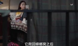 爆料小孩姐姐视频播放在线观看,小孩姐姐视频在线播放，独家爆料带你一探究竟