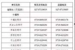 农商银行新爆料公告最新,揭秘最新公告背后的金融风云”