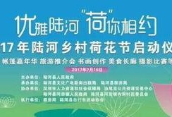 陆河新闻爆料最新情况今天,突发事件现场直击，详情即将揭晓