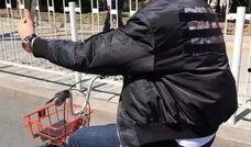 单车爆料视频,一窥城市交通新趋势