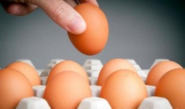 蛋仔纤维皮肤最新爆料