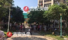 阳光新城最新爆料信息网