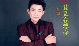 江波全集在线观看