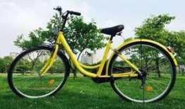 天津自行车爆料视频最新,行业乱象与品牌真相