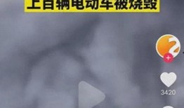 网友爆料小区事件真相视频,网友爆料视频还原事件始末