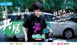 生活爆料完整视频,揭秘日常生活中的惊人瞬间