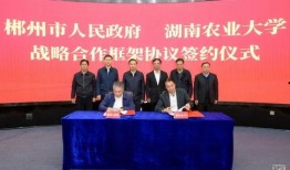 郴州爆料新闻,揭秘当地热点事件背后的真相