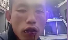 网红打架爆料视频大全,揭秘网络暴力背后的真相