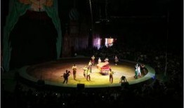 飞翔影院在线观看,云端观影新体验，尽享在线视听盛宴