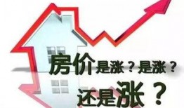 哈尔滨爆料真实案例最新,业主生命安全引关注