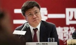 孙宏斌爆料完整视频大全,揭秘商业巨头背后的真实故事