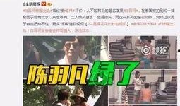 湛江出轨爆料事件视频,真相与舆论的碰撞