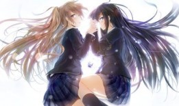 白色相簿2在线观看,青春回忆与命运交织的旋律