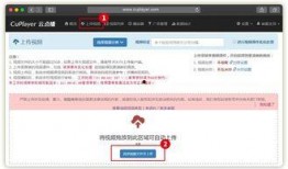 最新上传视频在线观看