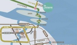 樱花最新爆料更新视频,揭秘视频背后的惊人真相！