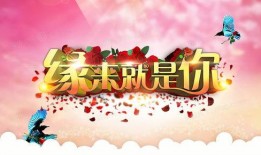 娱乐爆料节目背景图,图解明星幕后故事