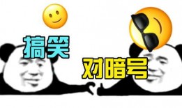 旅游爆料搞笑段子视频下载,笑翻旅途，下载欢乐瞬间