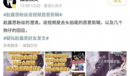 娱记狗仔爆料视频大全下载,视频大全下载全解析