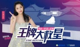 金富善爆料视频大全集最新,揭秘娱乐圈不为人知的秘密