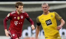 世界足球爆料视频大全