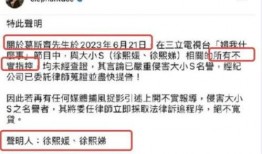 台媒近日爆料配音视频下载,揭秘幕后配音团队神秘面纱