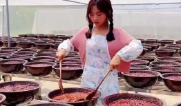 娱乐吃瓜酱河南