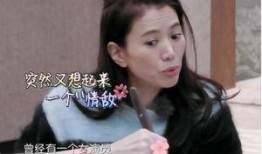 采莲明星爆料视频大全,视频大全揭秘幕后故事