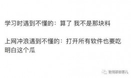 真诚吃瓜知乎小说免费阅读,揭秘知乎小说界的免费阅读盛宴