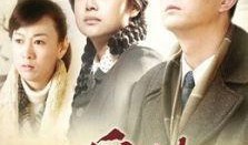 电视剧最爱你在线观看