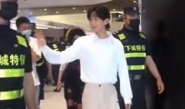 成毅路人爆料视频大全集,揭秘明星私生活瞬间